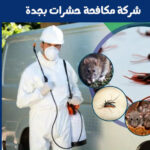 شركة مكافحة حشرات بجدة