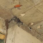 ترميم وتقوية الخرسانة بأحدث طرق حقن الإيبوكسي والبوليمر